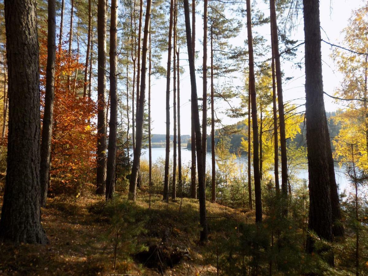 Vila Rozinka Lipno Lipno nad Vltavou Zewnętrze zdjęcie